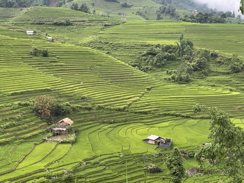 Sapa: Private Muong Hoa Valley and Homestay Trekking 2-Day - Common questions