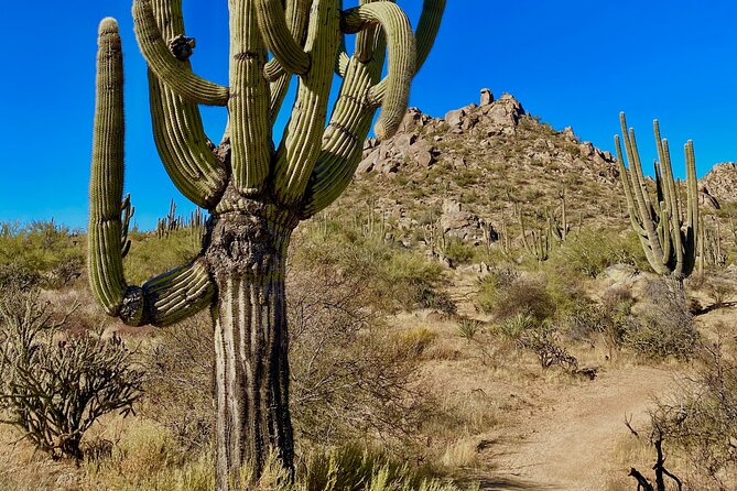 Scottsdale Desert Classic Hiking Adventure - Common questions