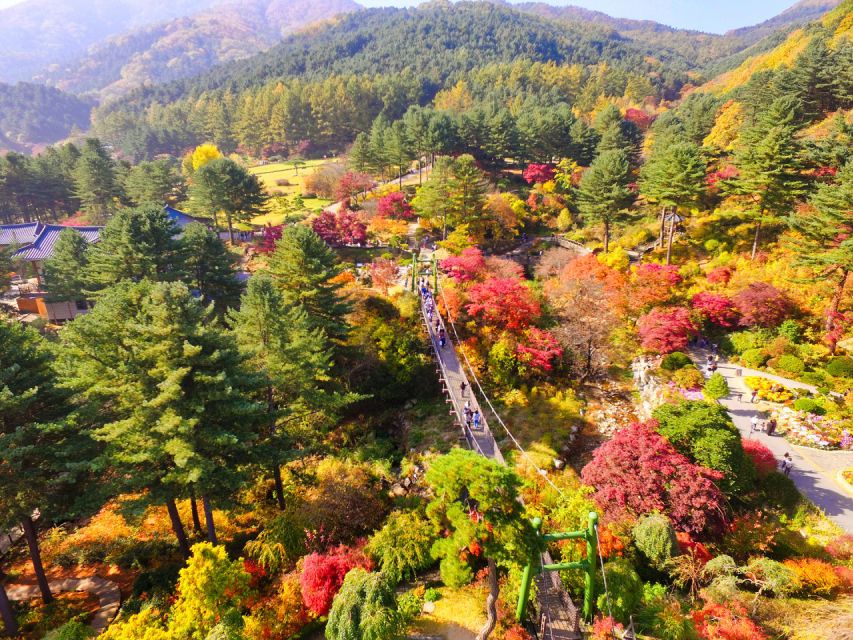 Seoul: Nami Island and Garden of Morning Calm Day Trip - Transportation Details