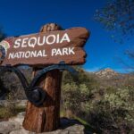 7 sequoia national park adventure from tulare Sequoia National Park Adventure From Tulare