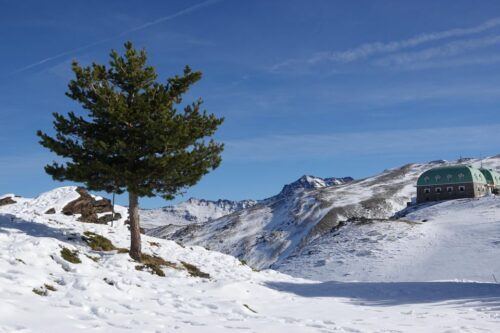 Sierra Nevada Hiking Experience With Crampons on the Snow - Last Words