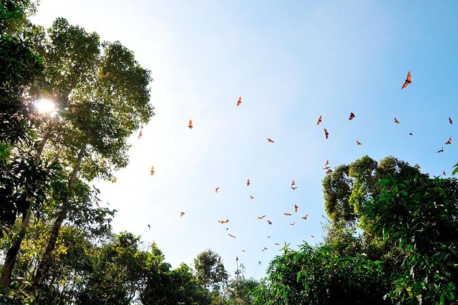 Small-Group Tour to Can Gio Vam Sat Mangrove Forest - Last Words