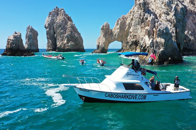 Snorkeling or Swimming With Sharks in Cabo San Lucas - Morning Vs. Afternoon Trips