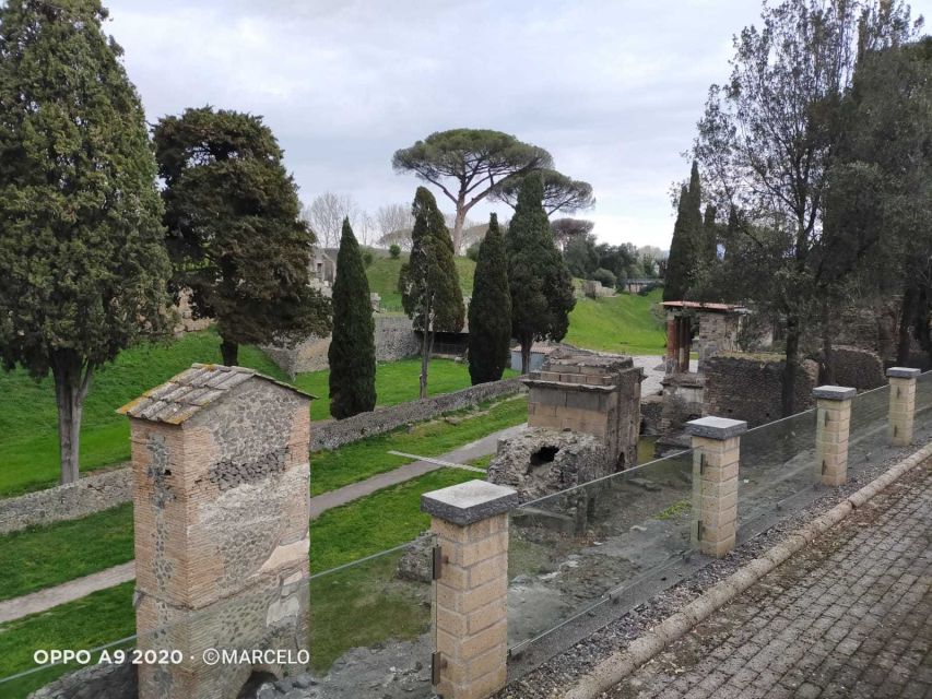 Sorrento: Half-Day Pompeii Tour With Official Guide - Last Words