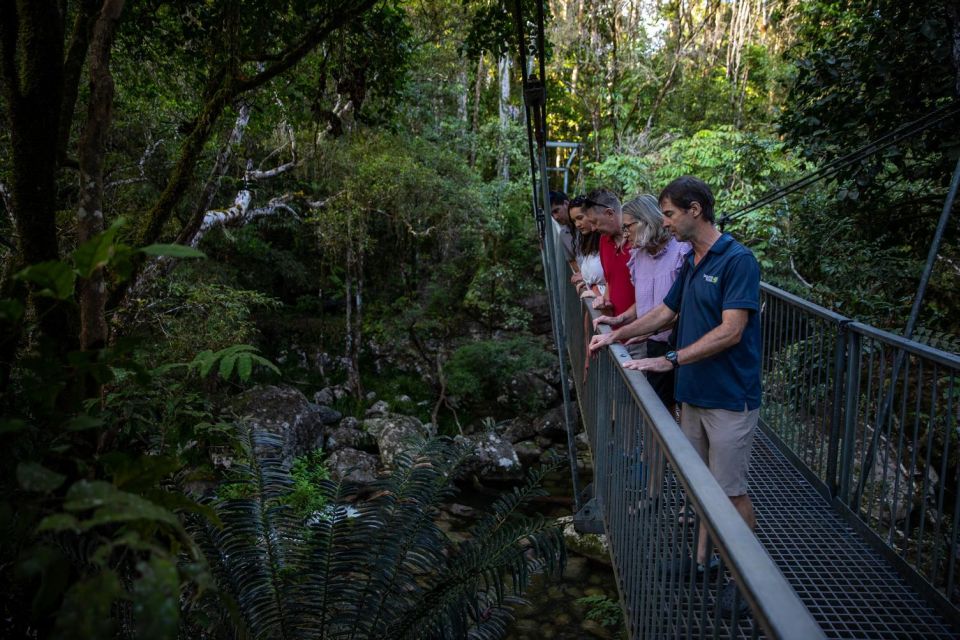 Southern Daintree Explorer Tour - Half Day - Booking