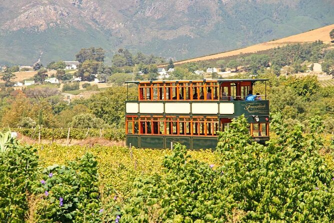 Stellenbosch Winelands Wine-Tasting Tour From Cape Town - Special Offer Details