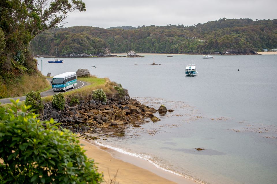 Stewart Island: Village and Bays Tour - Last Words