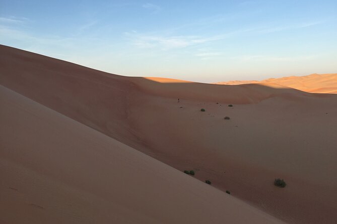 Sunrise Desert Safari Dune Bashing Camel Farm Visit - Booking Price and Details