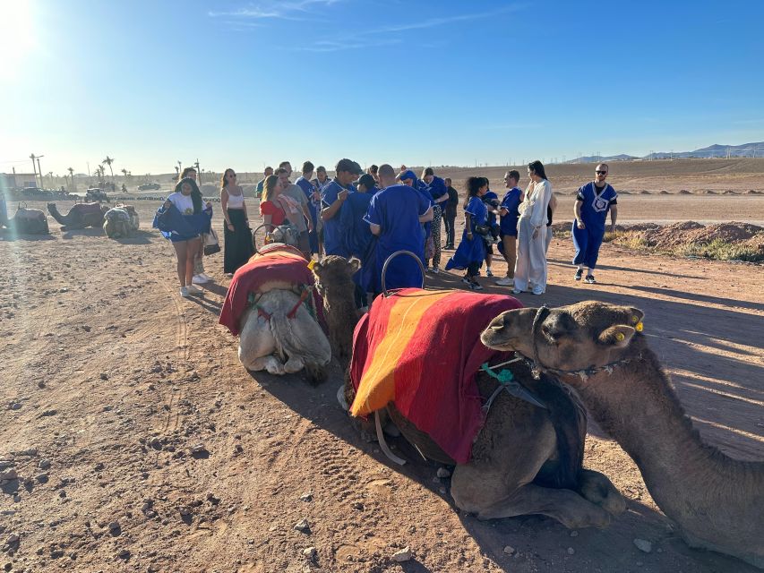 Sunset Camel Ride in Desert & Palm Grove With Tea & Transfer - Last Words