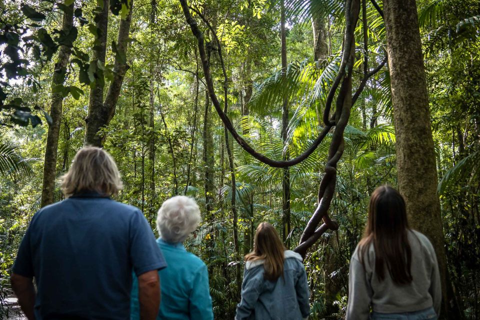 Sunshine Coast Hinterland and Noosa Small Group Tour - Common questions