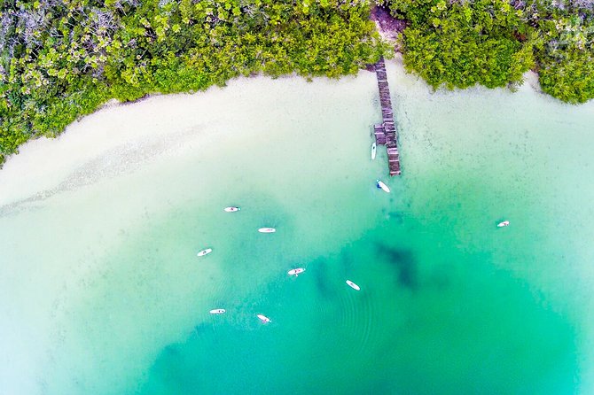 SUP Lagoon Tour- Private Paddleboard Tour - Last Words