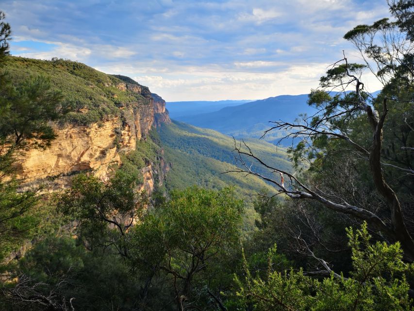 Sydney: Blue Mountain Sunset, Bushwalk & Wilderness Tour - Tour Directions