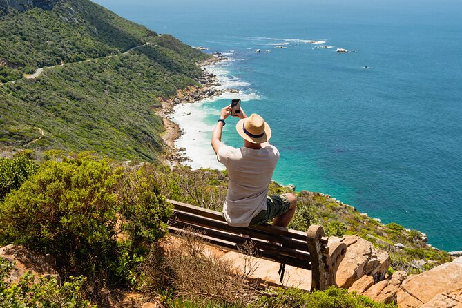 Table Mountain, Penguins Colony and Cape of Good Hope Small Group Shared Tour - Scenic Drive Highlights