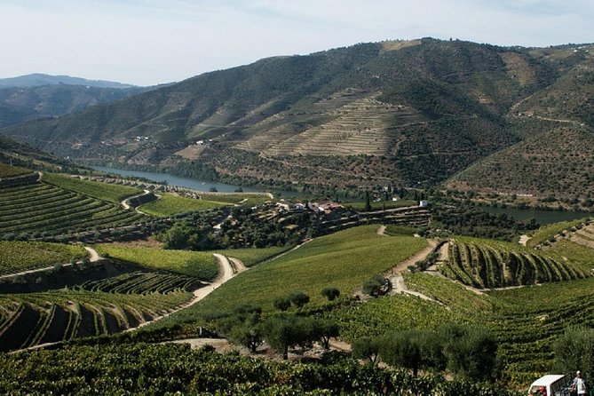 Taste the Douro - Vintage Experience - Additional Information
