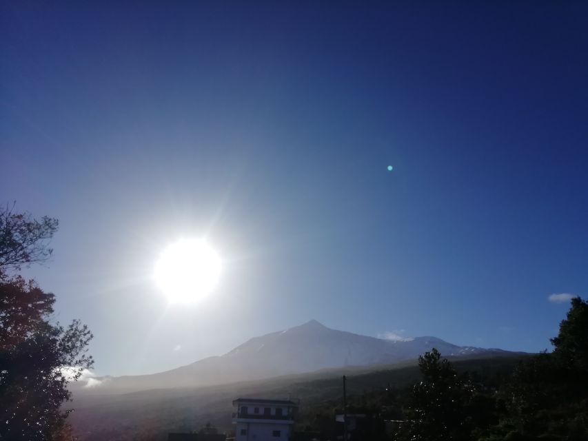 Tenerife: Guided Horseback Riding Tour to the Lomo Forest - Important Information