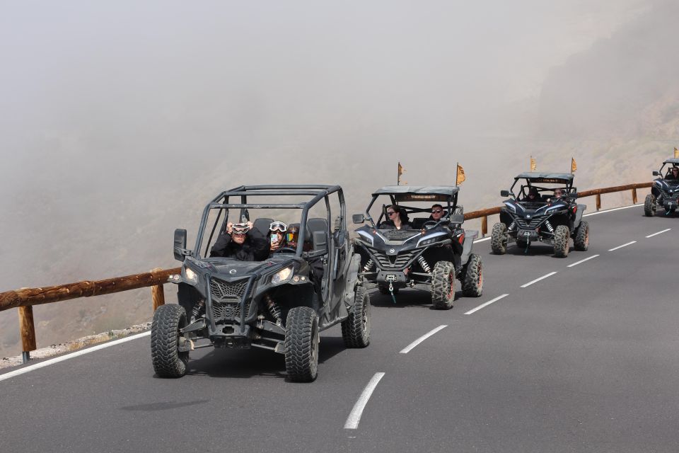 Tenerife: Morning or Sunset Teide Guided Family Buggy Tour - How to Book