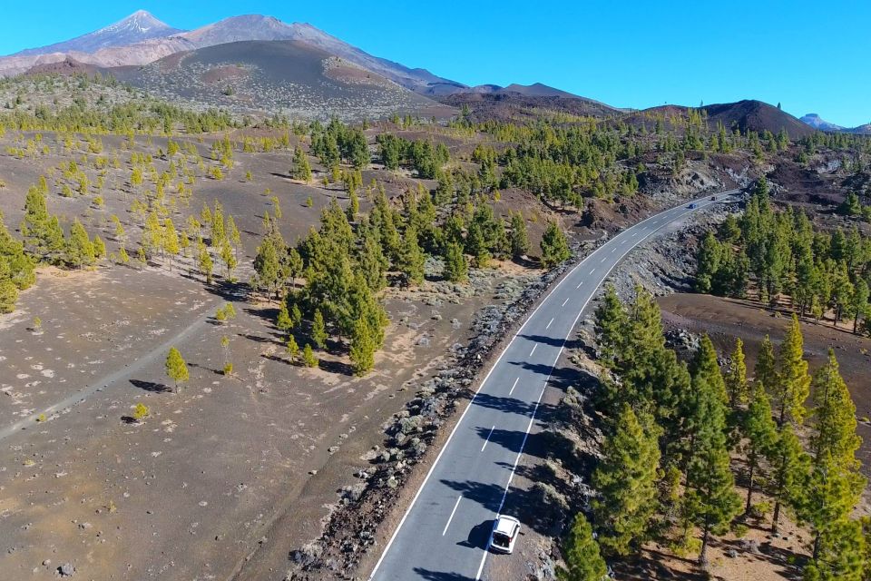 Tenerife: Mount Teide Quad Tour in Tenerife National Park - Last Words