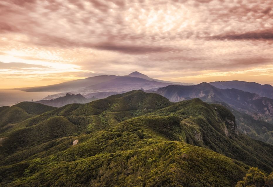 Tenerife: Private Taganana and Anaga Day Trip With Pickup - Tour Highlights