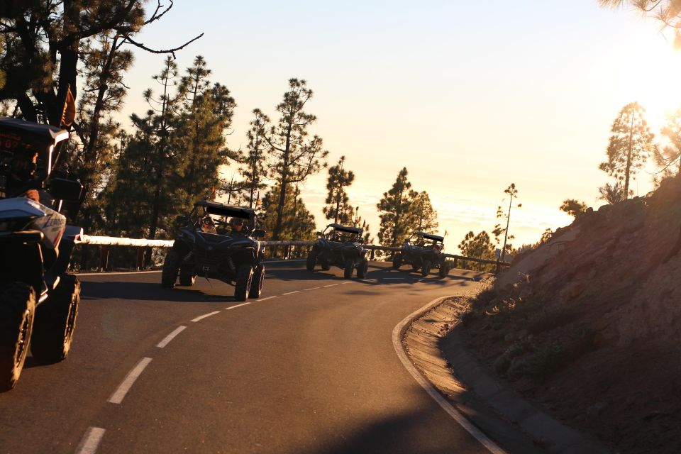 Tenerife: Teide Nacional Park Guided Morning Buggy Tour - Additional Information