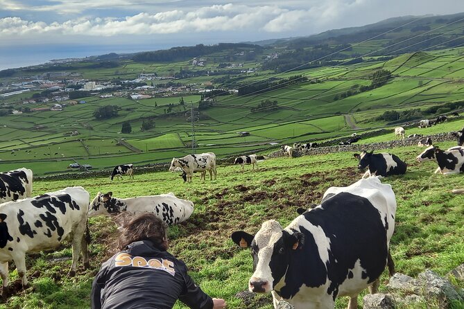 Terceira Island Full Day Jeep Tour - Last Words