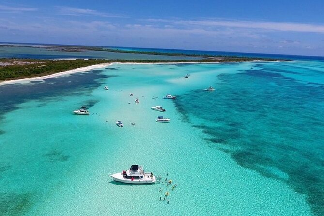 The Best Cozumel Snorkeling Tour Palancar, Colombia and El Cielo Reefs - Directions and Recommendations