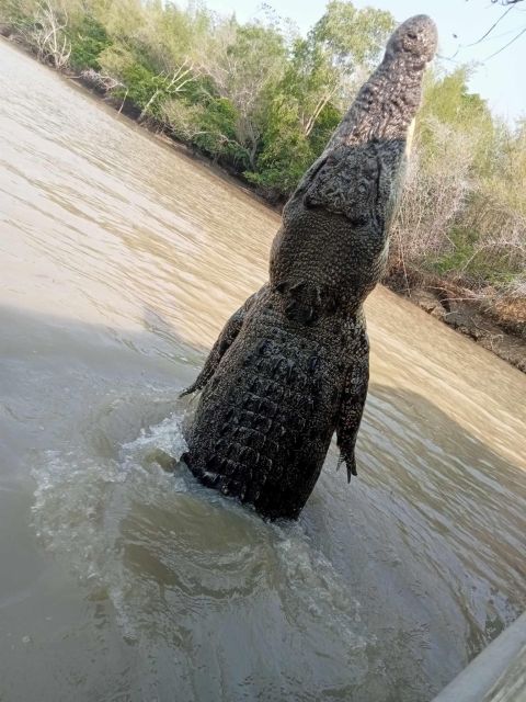 The Best Tour of Litchfield and Crocodiles on the River - Additional Information