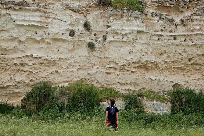 The Path of the Cliffs: Torre Olivieri and the Gruccione Bay - Last Words