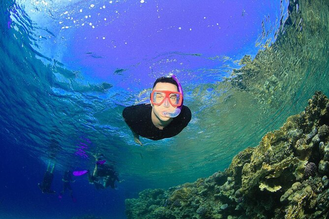 Tiran Island Snorkeling Experience by Yacht Sharm El Sheikh - Last Words