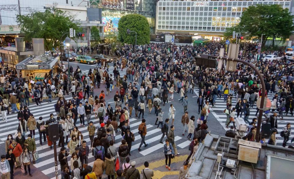 Tokyo Private Night Tour With English Speaking Guide by Car - Tokyo Tower Photo Opportunity