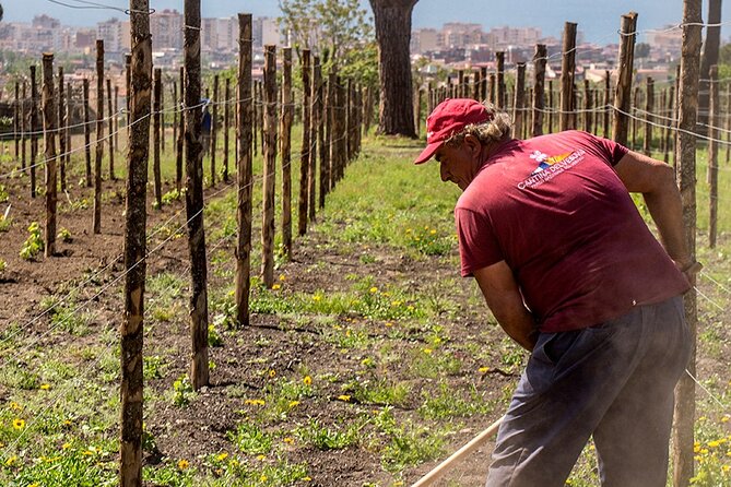 Tour Pompeii Ruins and Winery Lunch Included - Common questions