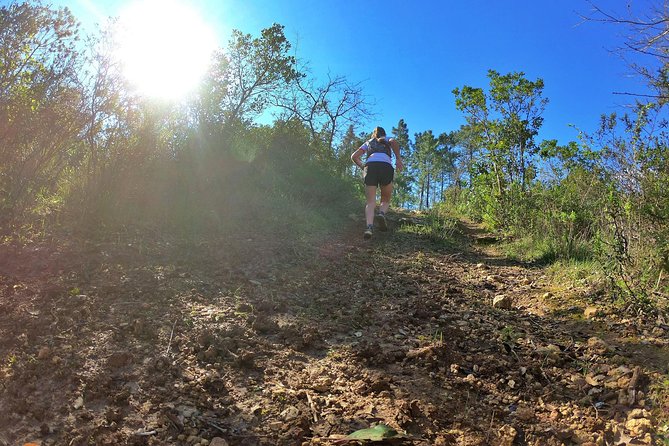 Trail Running in Coimbra - Common questions