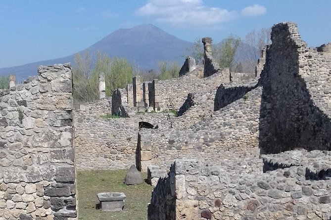 Transfer From Naples to Sorrento With a Stop at Pompeii and Mt Vesuvius(1-8 Pax) - Common questions
