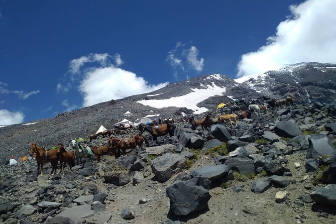 Trekking Mount Ararat Experience - Common questions