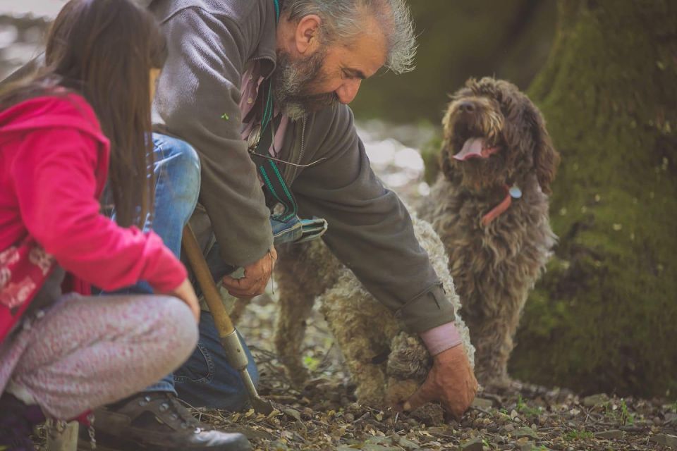 Truffle Hunting, Culinary & Wine Celebration From Heraklion - Booking Information and Pricing