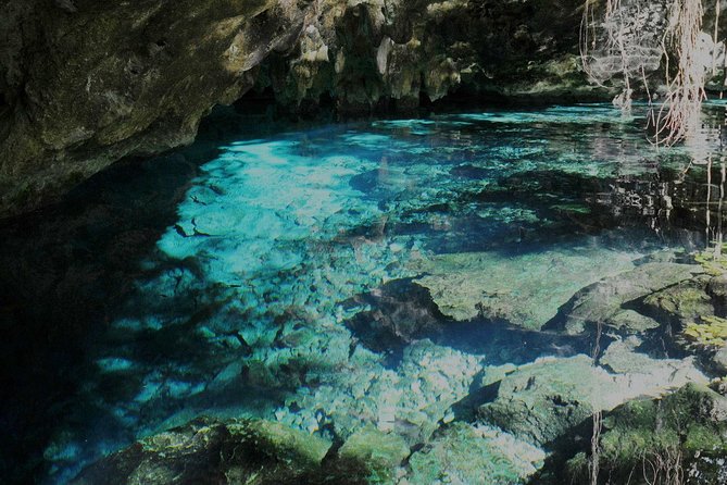 TULUM, CENOTE, MYSTIKA MUSEUM, TURTLES SNORKELING (Private) - Guide Insights and Personalized Experiences