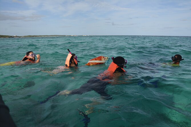 Tulum: Snorkeling and Private Sailing Tour - Sailing Tour Impressions