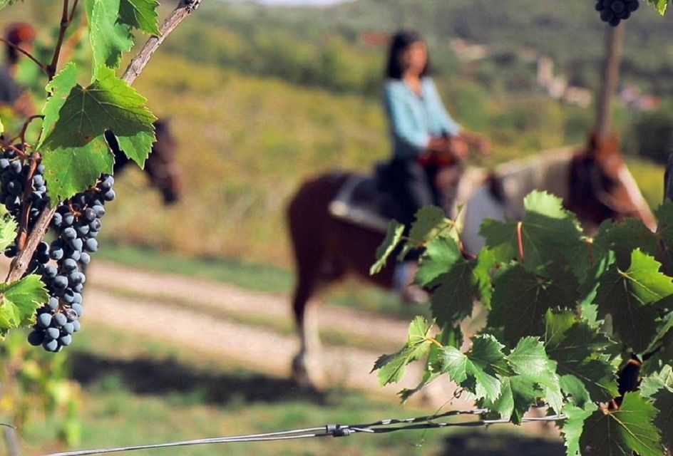 Tuscany: Horseback Riding Adventure With Lunch in a Winery - Duration