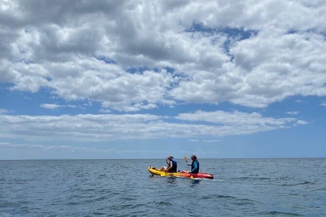 Untouched Sesimbra Private Kayak Tour - Common questions