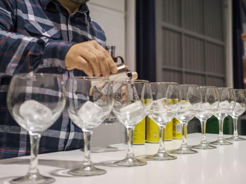 Valencia: Distillery Visit and Gin Tasting in Benifla - Overview