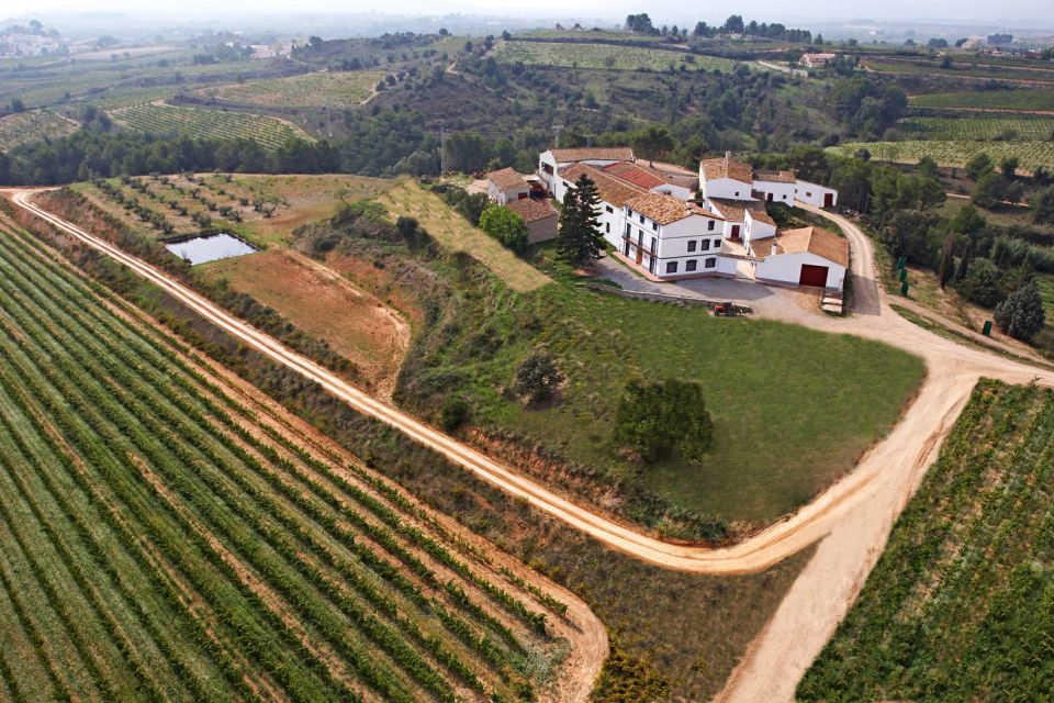 Vilafranca Del Penedès: Winery Visit With Tastings - Last Words