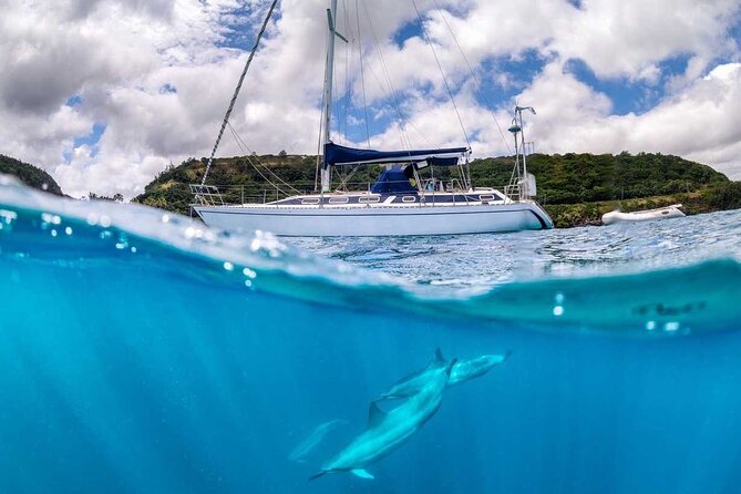 Waikiki Small Group Turtle Snorkeling & Sailing - What to Bring