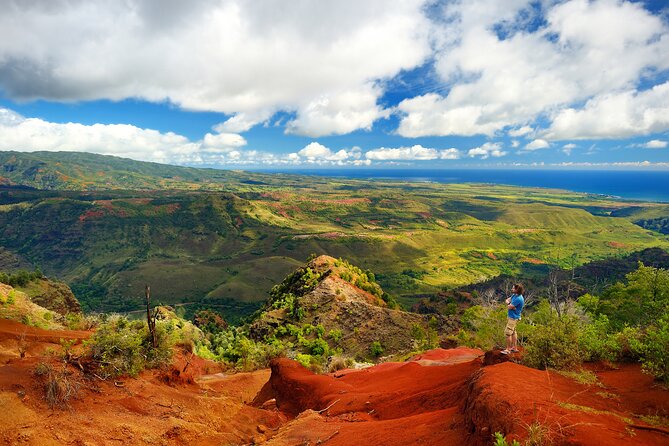 Waimea Canyon Private Tour With Local Guide - Common questions