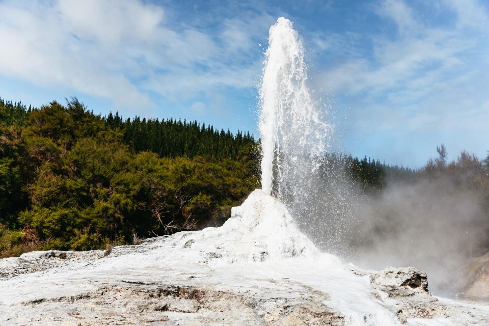 Waiotapu: Thermal Park and Lady Knox Geyser Entry Ticket - Visitor Reviews