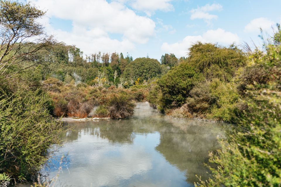 Whakarewarewa: Entrance to the Geothermal Trails - Review Insights and Recommendations