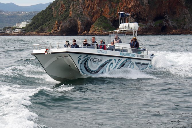 Whale Watching Knysna - Close Encounter Experience Ocean Odyssey - Common questions