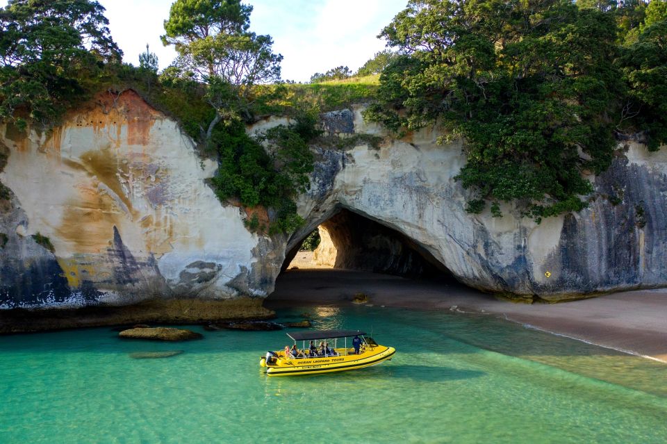 Whitianga: Cathedral Cove 2 Hour Boat Cruise - Last Words