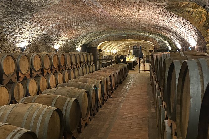 Wine Tasting in the Collio Wine Area, Guided Tour of Trieste and Miramare Castle - Customer Reviews and Recommendations