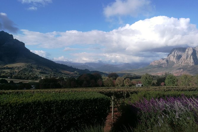 Winelands Full Day Tour - Last Words