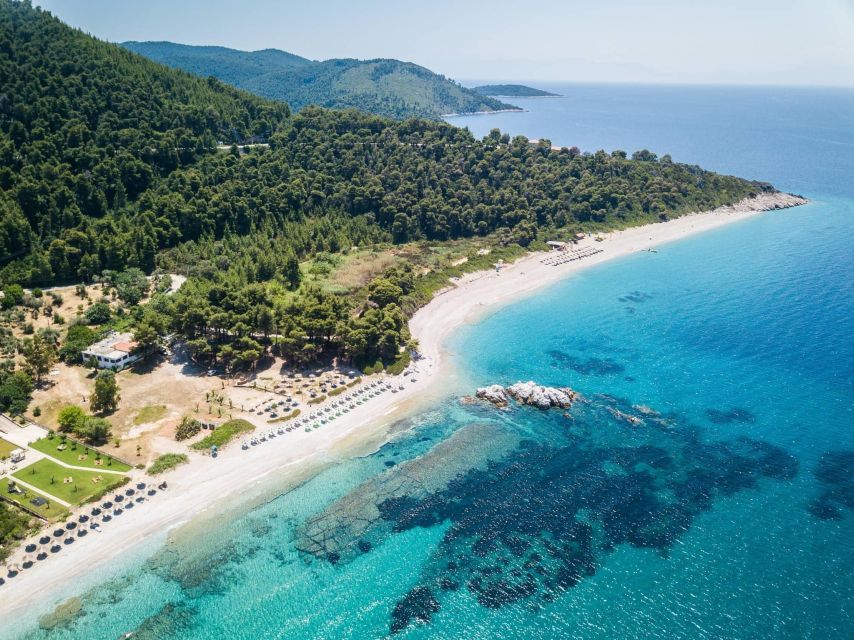 Your Mamma Mia Adventure on Skopelos Island! - Customer Testimonials and Recommendations