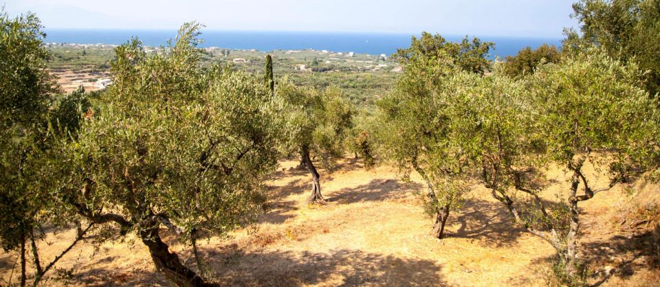 Zakynthos: Private Tour With Wine & Olive Oil Tasting - Cancellation Policy and Additional Details